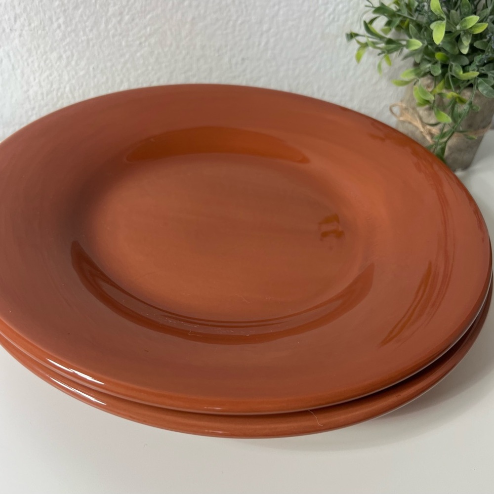 2 Pottery Barn Sausalito 12” Replacement Dinner Plate Dish Spice Terracotta Lot